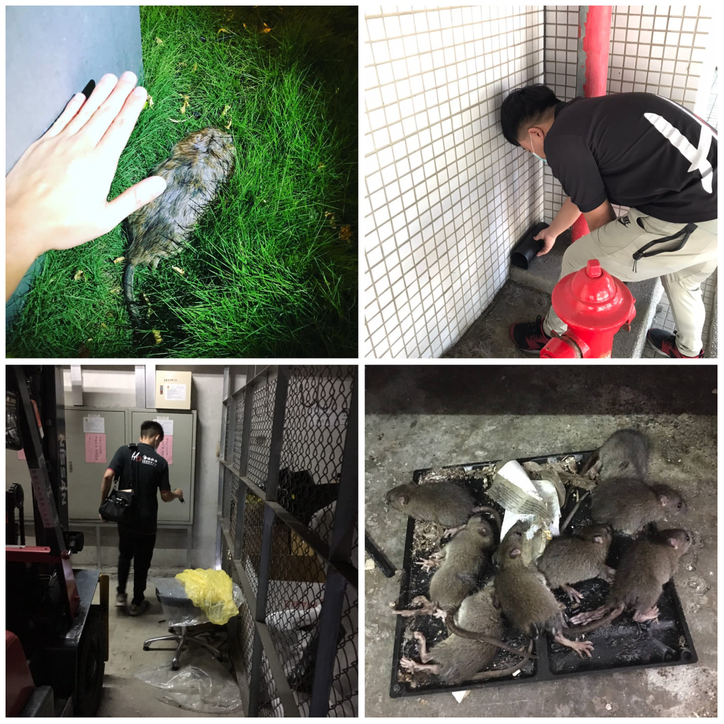 Ho消毒有限公司的服務項目圖片